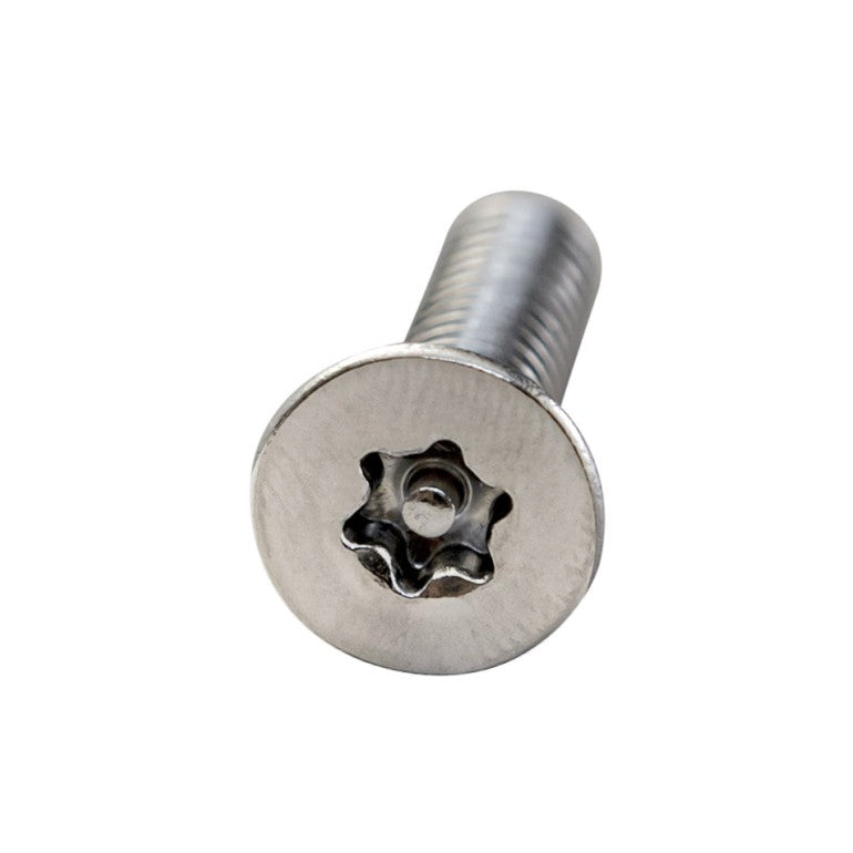 SCREW SECURITY TORX 1/4-20 X 1" STAINLESS