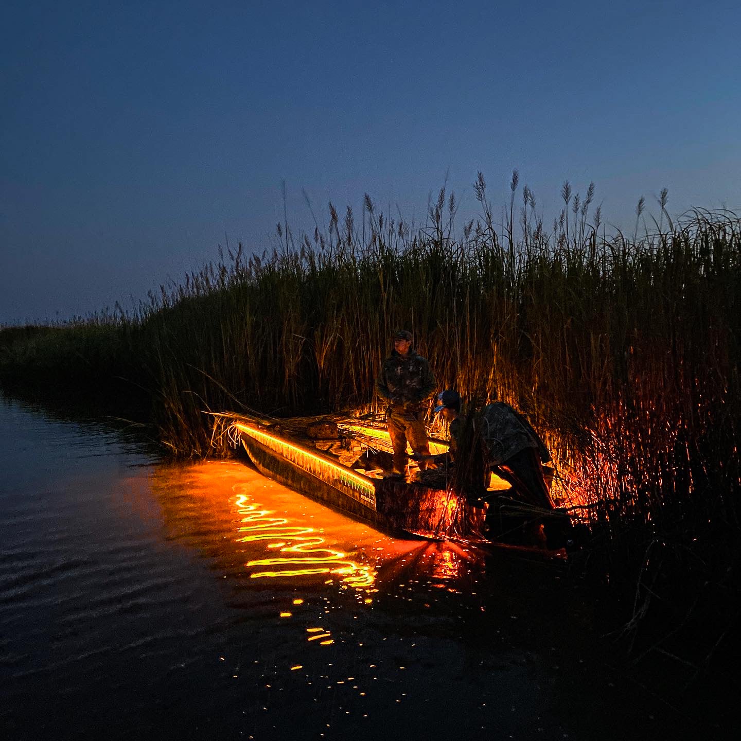 MARINE GRADE LED LIGHTS