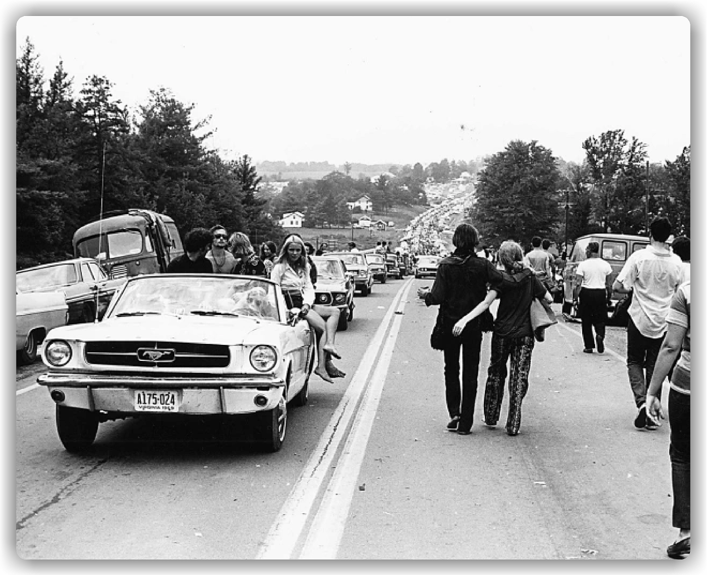 Woodstock Mustang